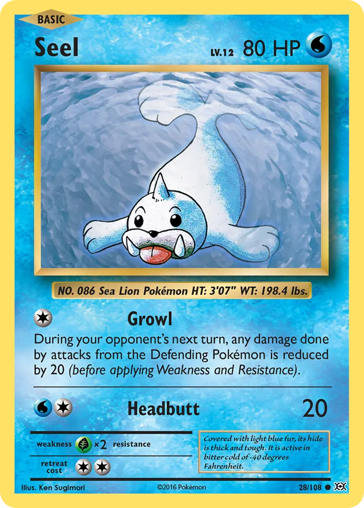 Seel 28