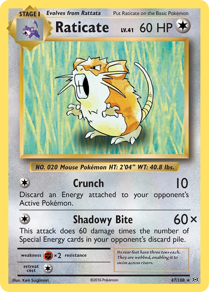 Raticate 67