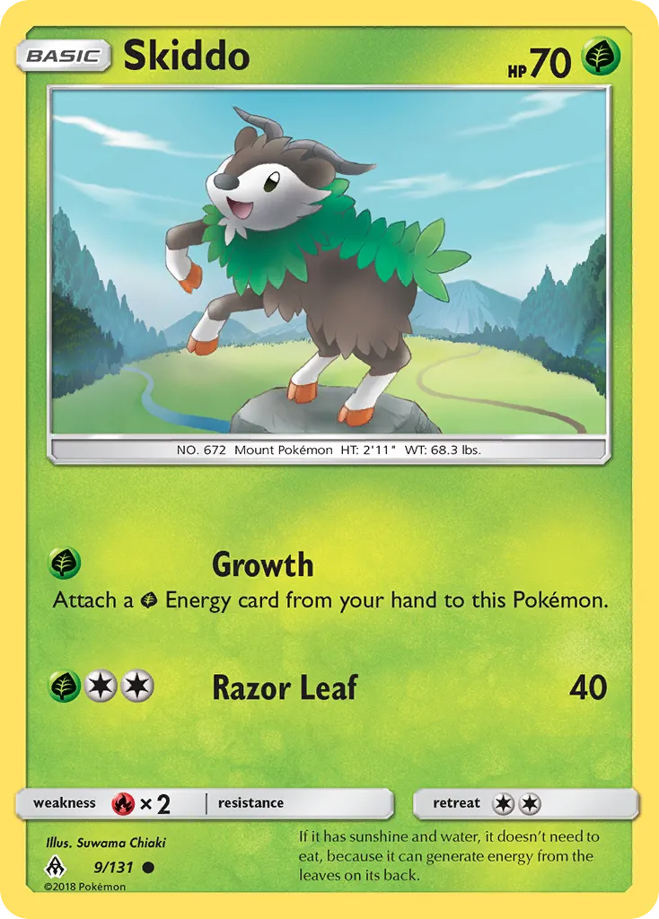 Skiddo 9