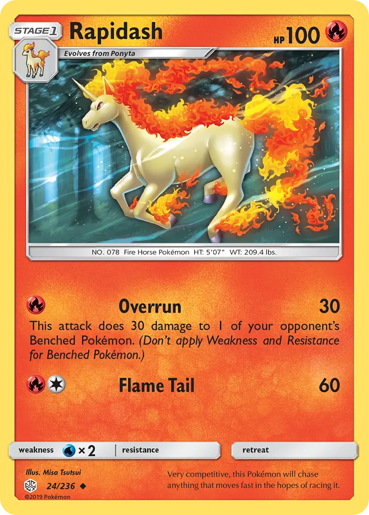 Rapidash 24