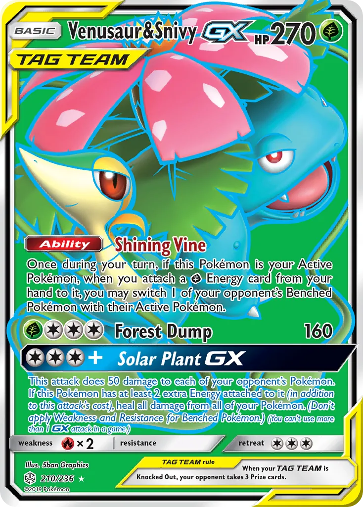 Venusaur & Snivy-GX 210