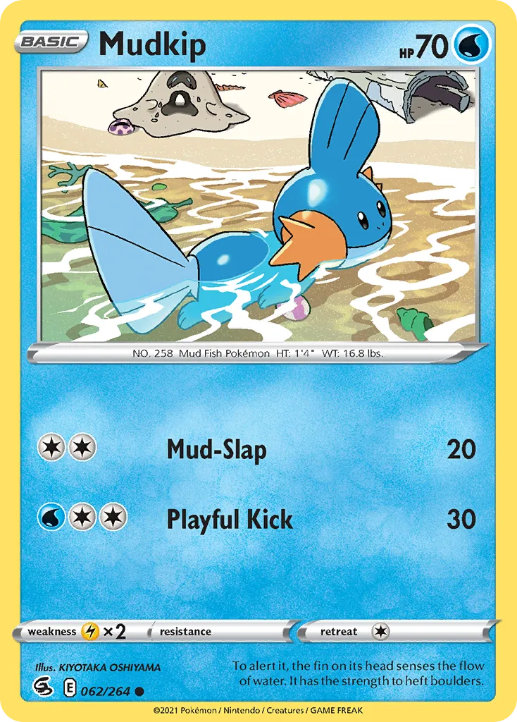 Mudkip 62