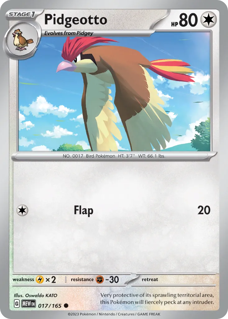 Pidgeotto 17