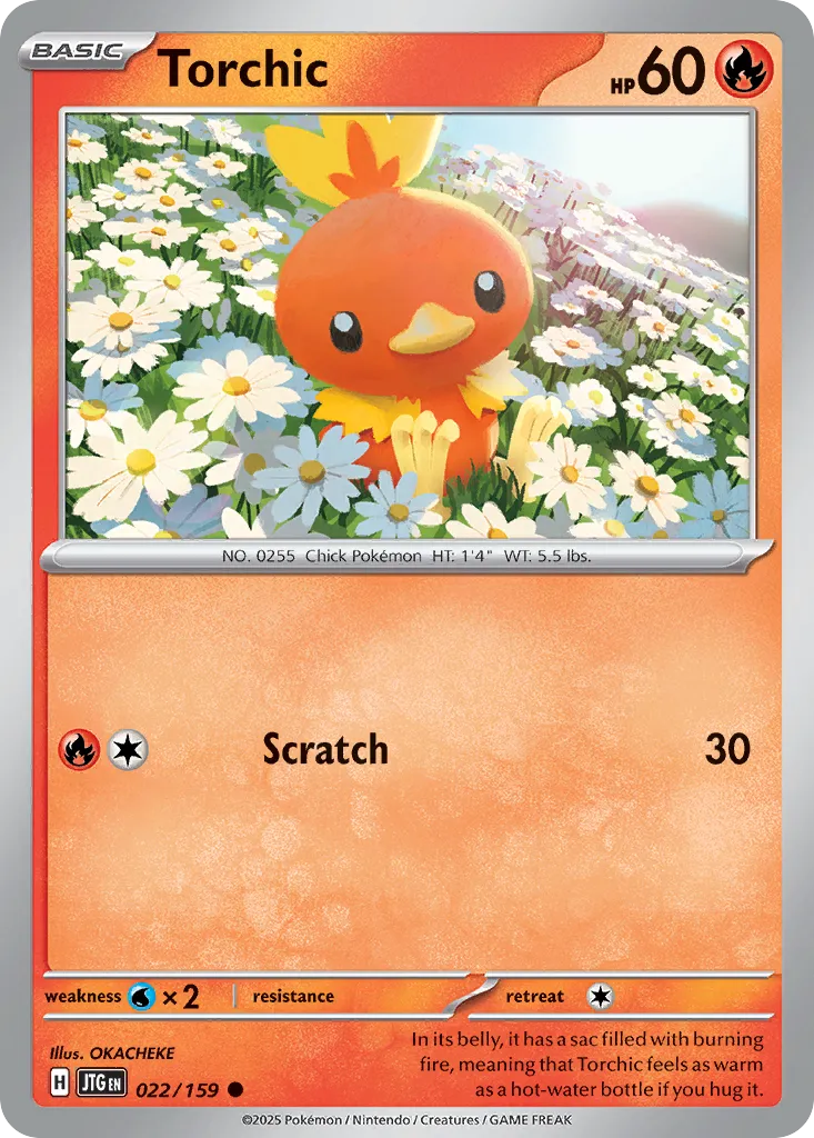 Torchic 22