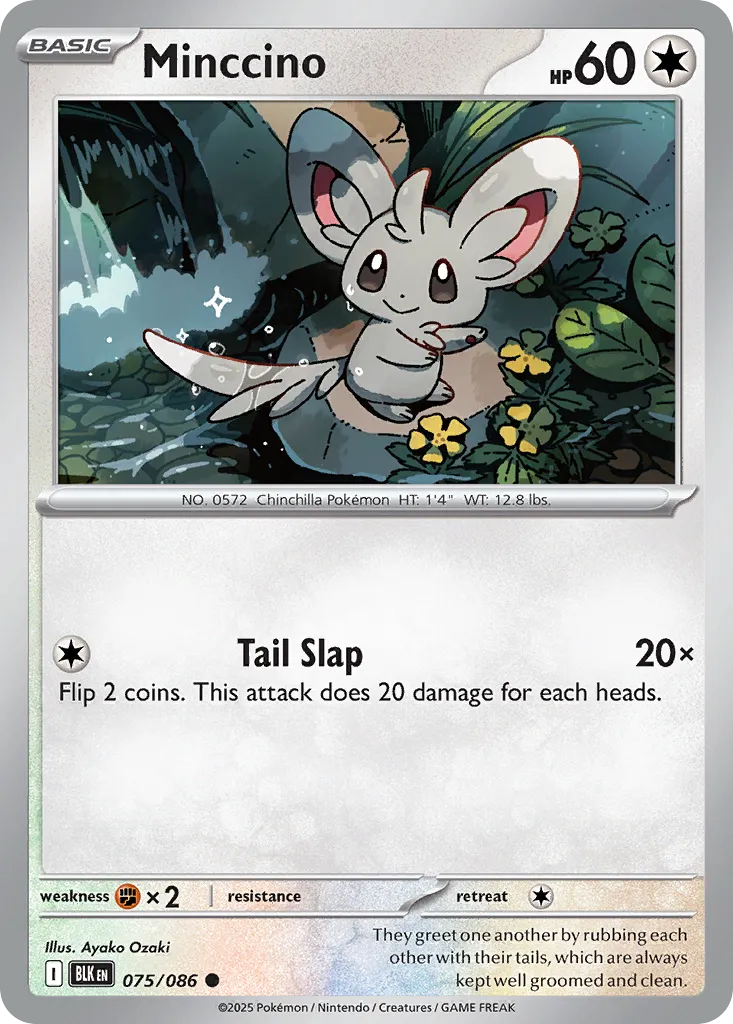 Minccino 75