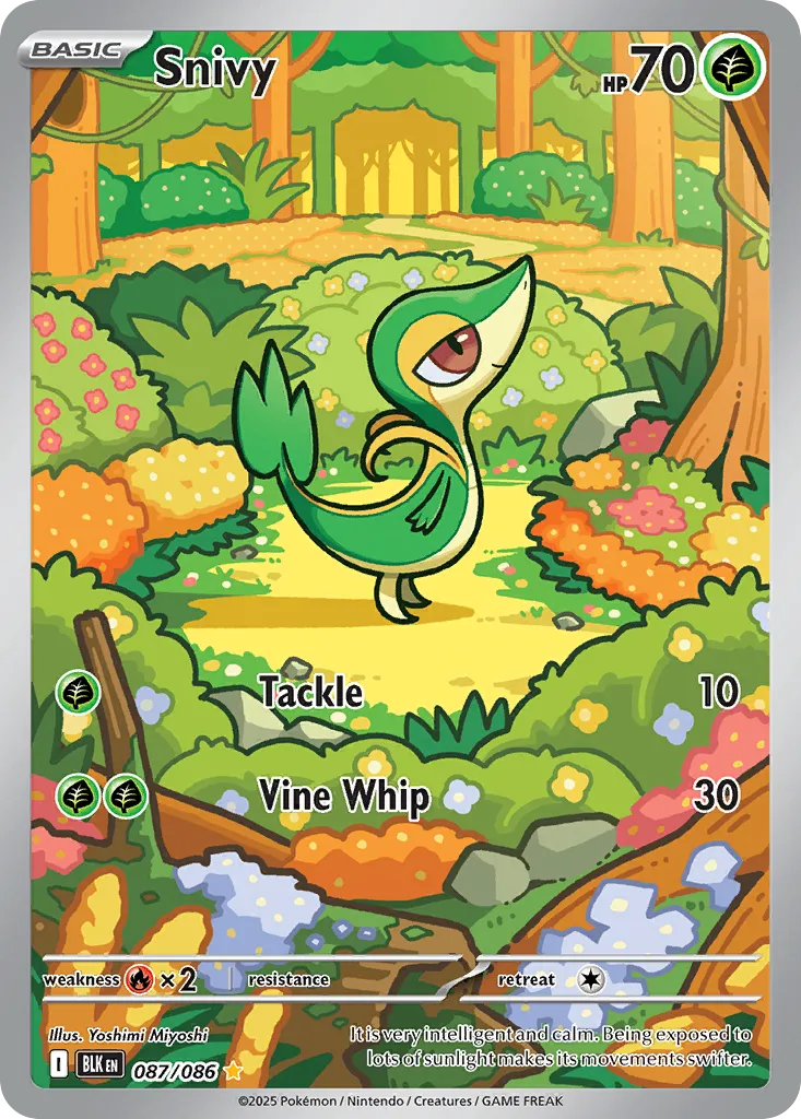 Snivy 87