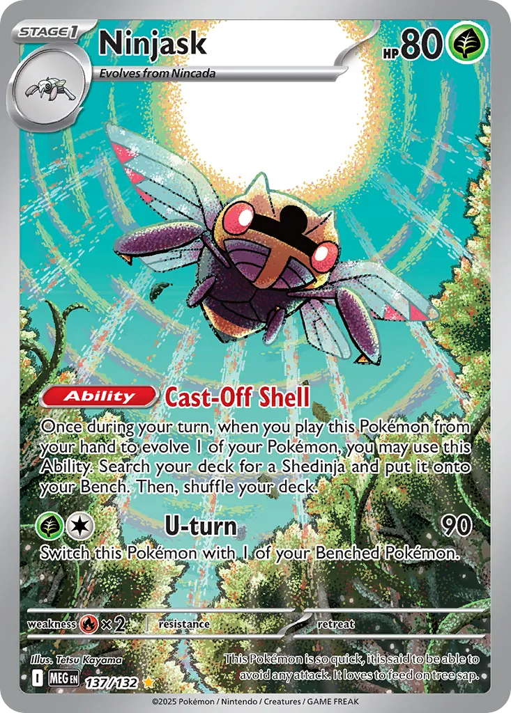 Ninjask 137