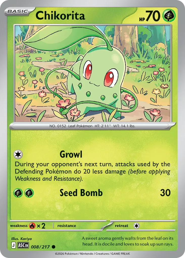 Chikorita 8