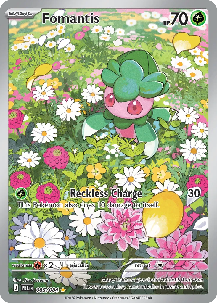 Fomantis 85