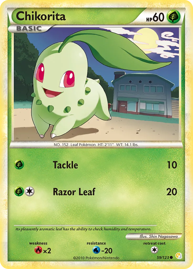 Chikorita 59