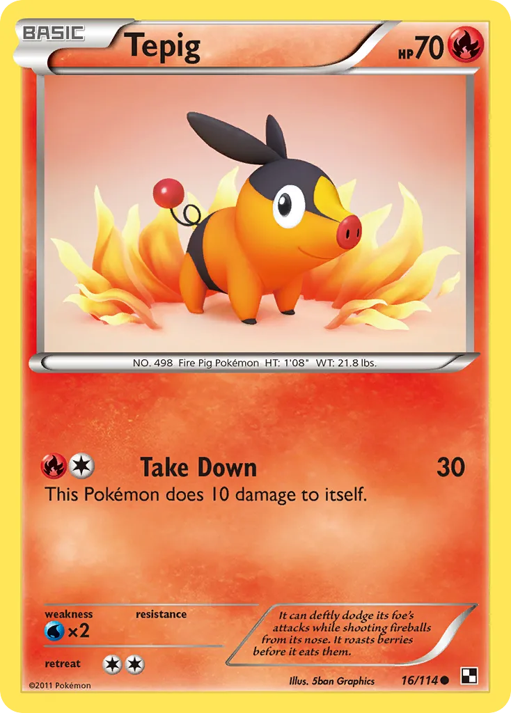 Tepig 16