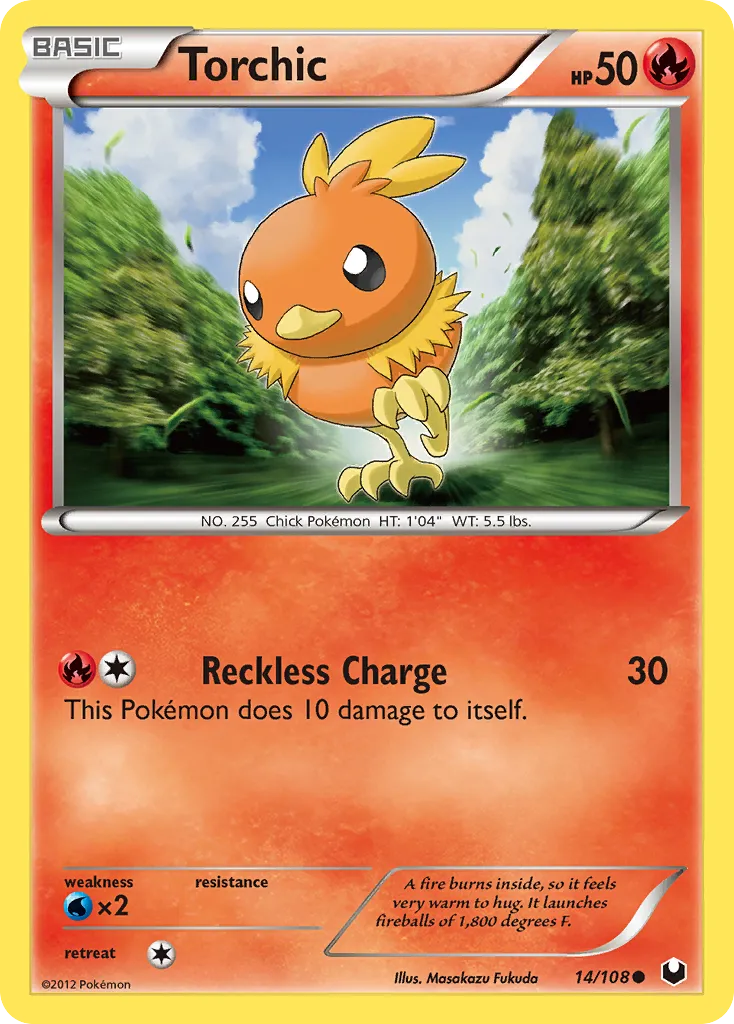 Torchic 14