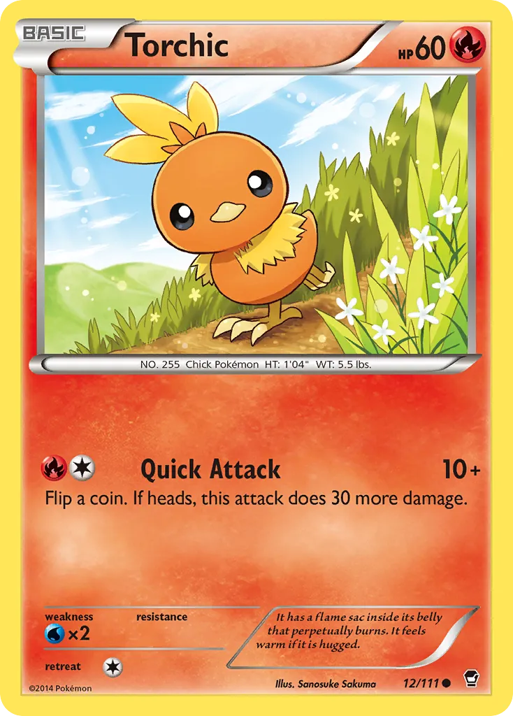 Torchic 12