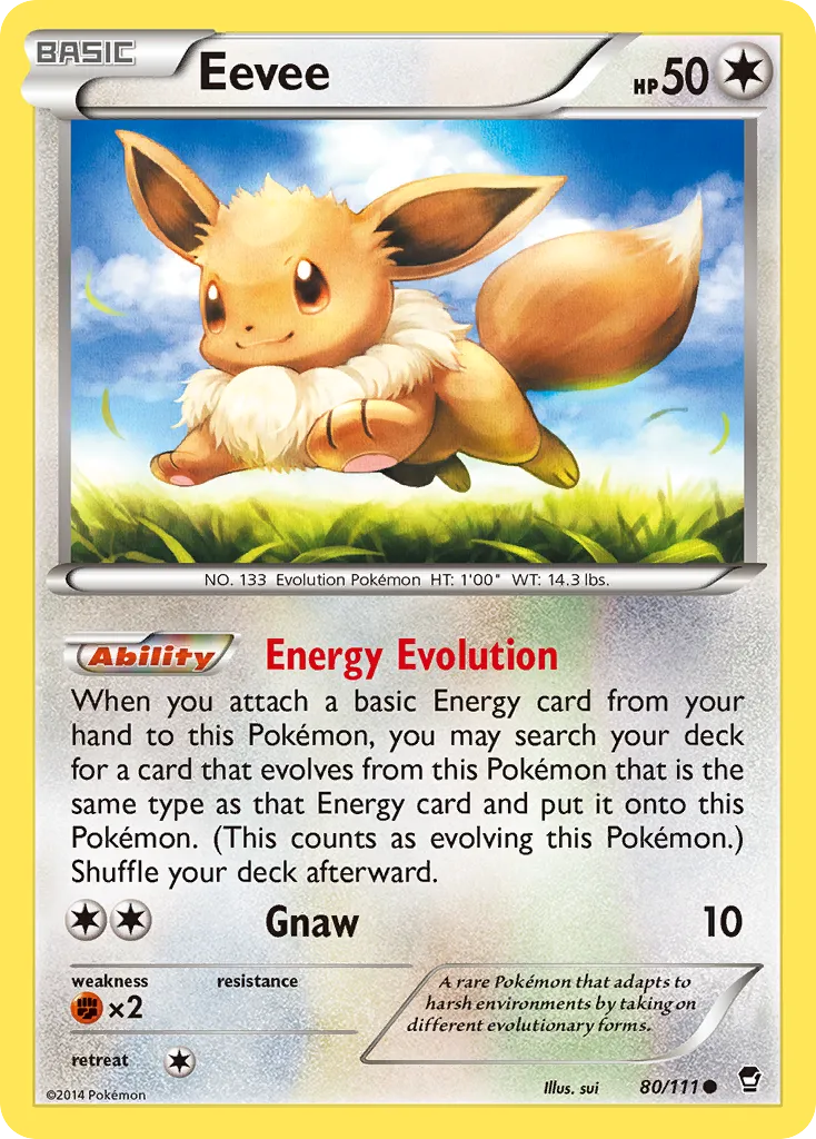 Eevee 80